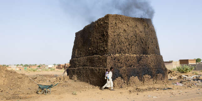 Au Tchad, les réfugiés soudanais racontent qu’au Darfour « la vie n’est plus possible, les gens ont tellement faim »